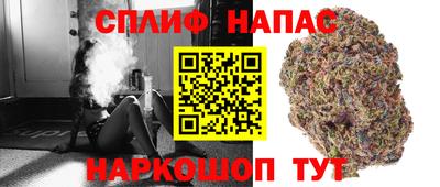 скорость Кимры