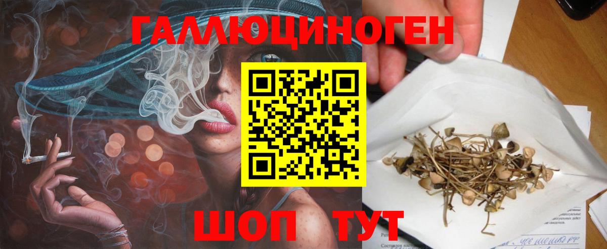 Галлюциногенные грибы Cubensis  Вход с VPN  Благовещенск 